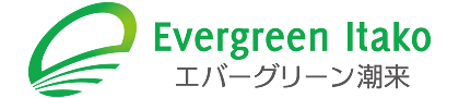 evergreen itako